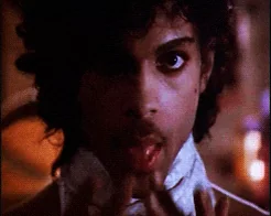Purple Rain Prince