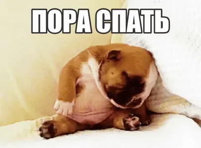 Спит Спасть Уснул