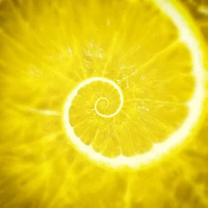 yellow loop