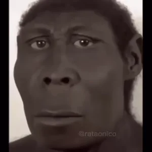 Застенчивый Стыд Неандерталец