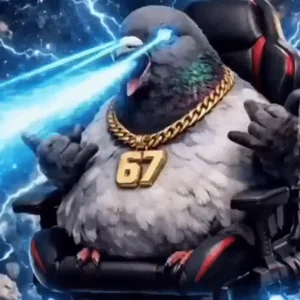 Ai Pigeon