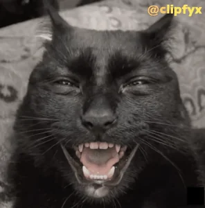 Cat Savage