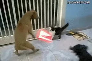 Монтаж Лазерный Меч Котик