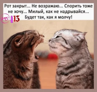 Афоризм
