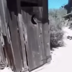 Крутой Деловой Туалет