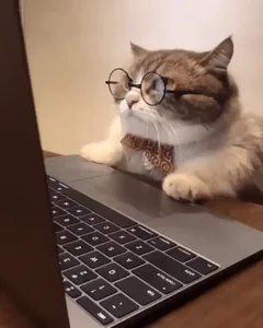 Mad The Internet