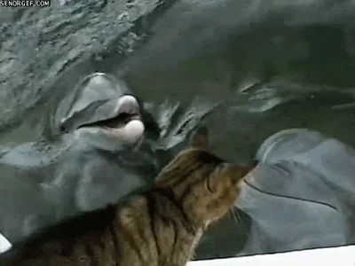 Океан Море Вода