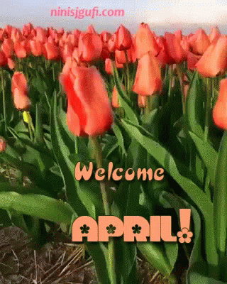 Spring Thanks ГИФ на GIFS.RU