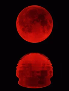 moon watch