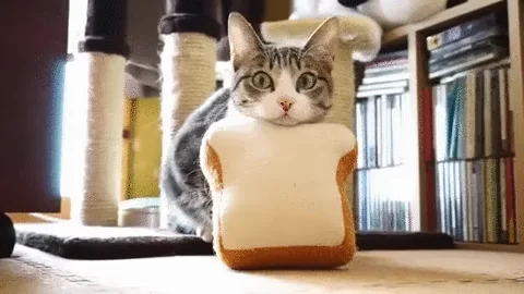Хлеб Бой Pao