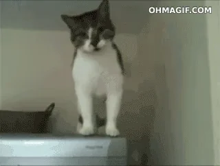 Смешно Прикольно Как Босс