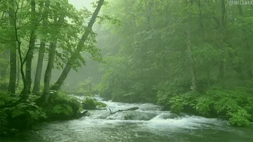 river