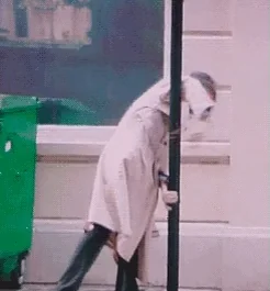 Старость Старик Старый