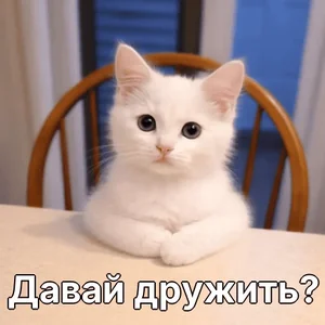 Давай дружить?