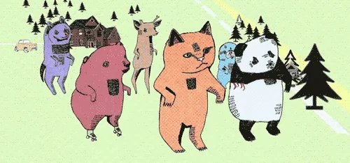 Волк Котик Кошка