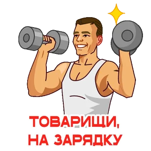 Зарядка Утро Спорт