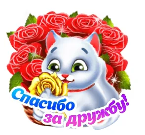 День Дружбы Друзья