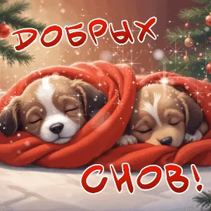 Спит Сон Спасть