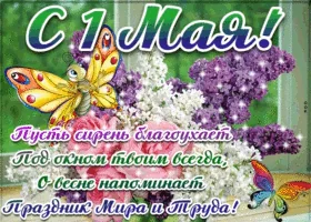 1мая 1 Мая Май