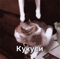 Кукуси