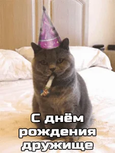 Сднемрождения Друг Родился