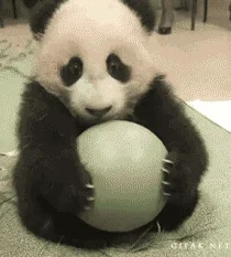 Панда Кавай Animali