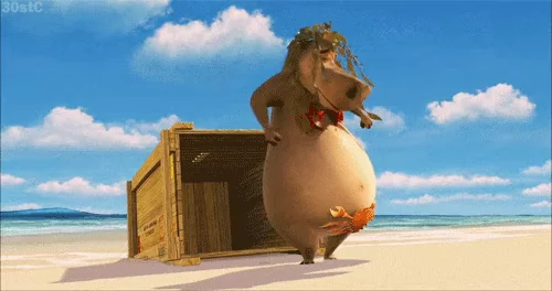 madagascar laughing