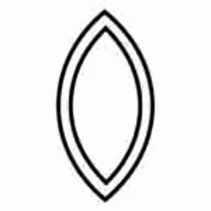 Рыбы Зодиак