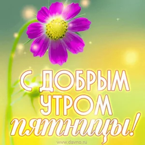 Пятница Утро Доброе