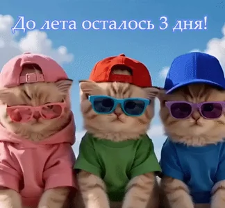 Лето Котята Скоро