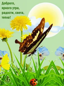 Доброе Утро