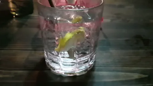 Gin Tonic Party