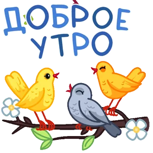 Доброе Утро Птицы