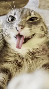 6 7