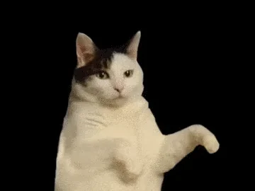 Танцует Танец Котик