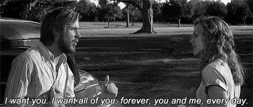 the notebook love