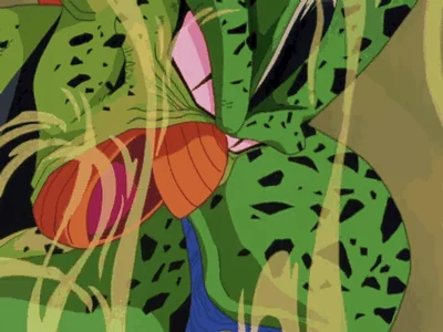 dragon ball z animation