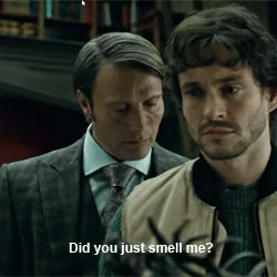 community hannibal