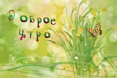 Доброеутро Доброе Утро
