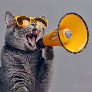 Ожило Живое Фото Мем С Котом
