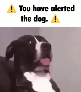 You Have Alerted The Horse Meme Dog
