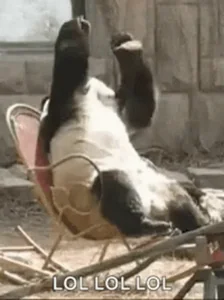 Lol Funny Laughing