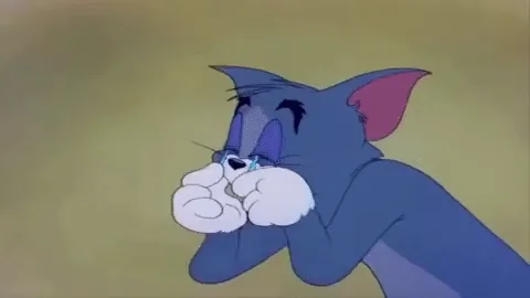 Спасть Хочу Сон