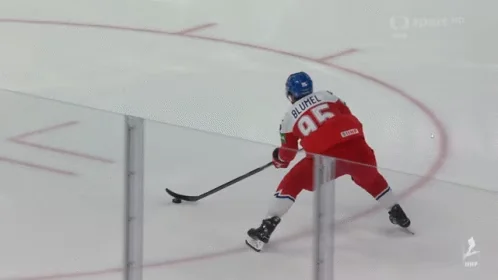 Hockey Ice Czech