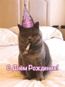 С Днём Рождения Родился Деньрождения