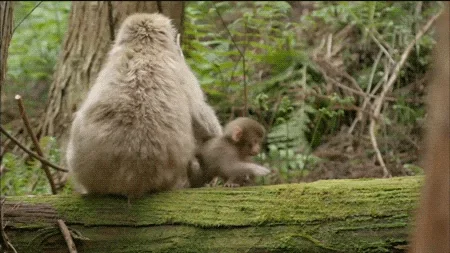 Mom Stay Here
