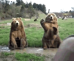 c217a712931ea935a38768b083ac217bdb7eb559488d759702df0ab7fe55de2b.gif
