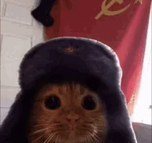 Россия Русский Родина