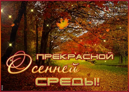 Среда Осень Открытка