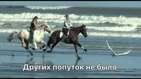 Других попуток не было